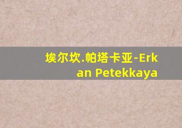 埃尔坎.帕塔卡亚-Erkan Petekkaya